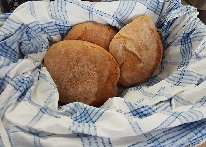 Natura * Vila do Porto